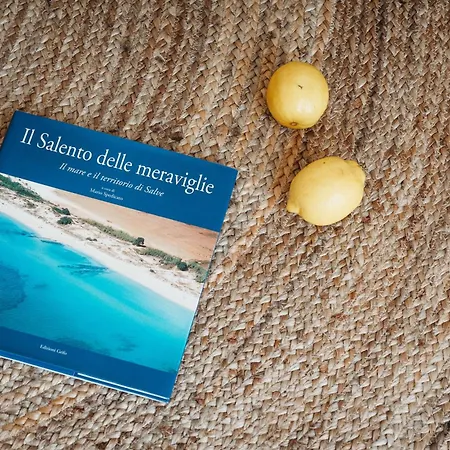 Dom wakacyjny Marhaba *